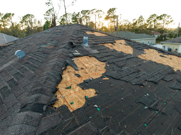 Best Skylight Installation and Repair  in Sparrow Bush, NY